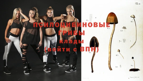 spice Дмитровск