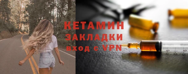 шишки Дмитров