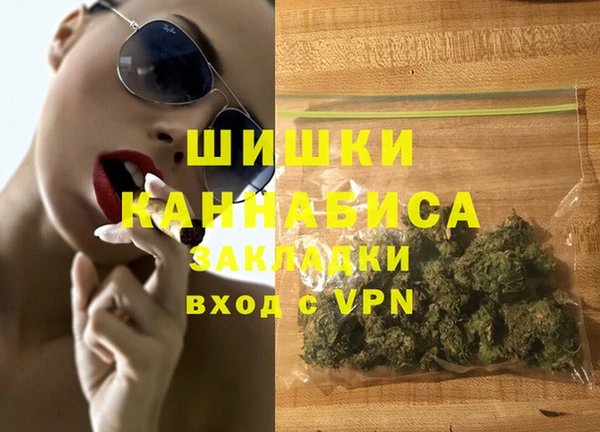 шишки Дмитров