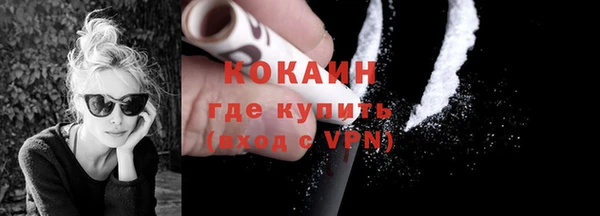 шишки Дмитров