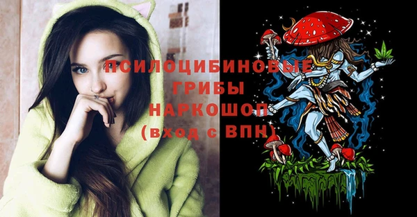 spice Дмитровск