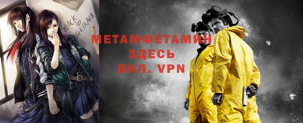 шишки Дмитров