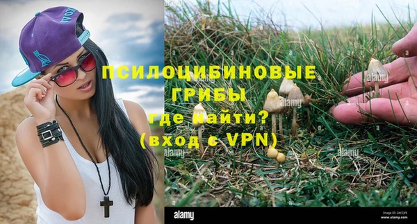 шишки Дмитров